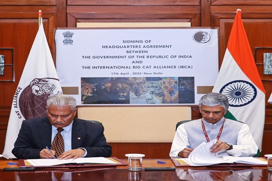 First Despatch News Image