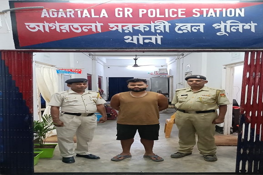 First Despatch News Image