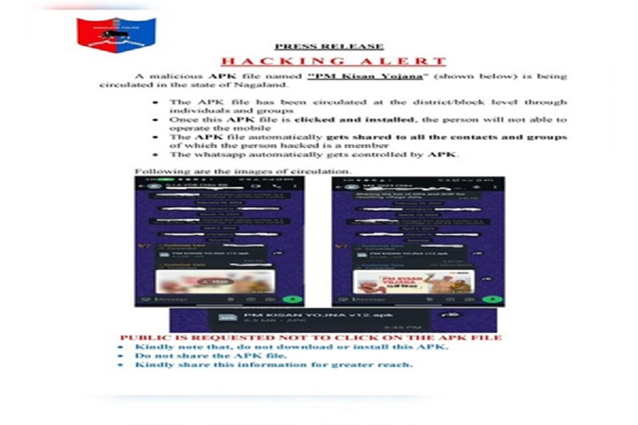 First Despatch News Image