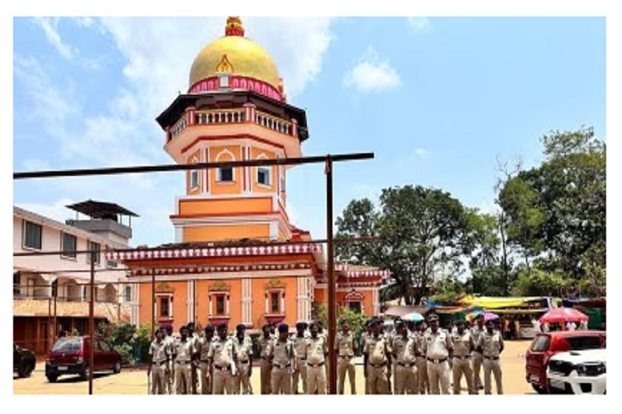 First Despatch News Image