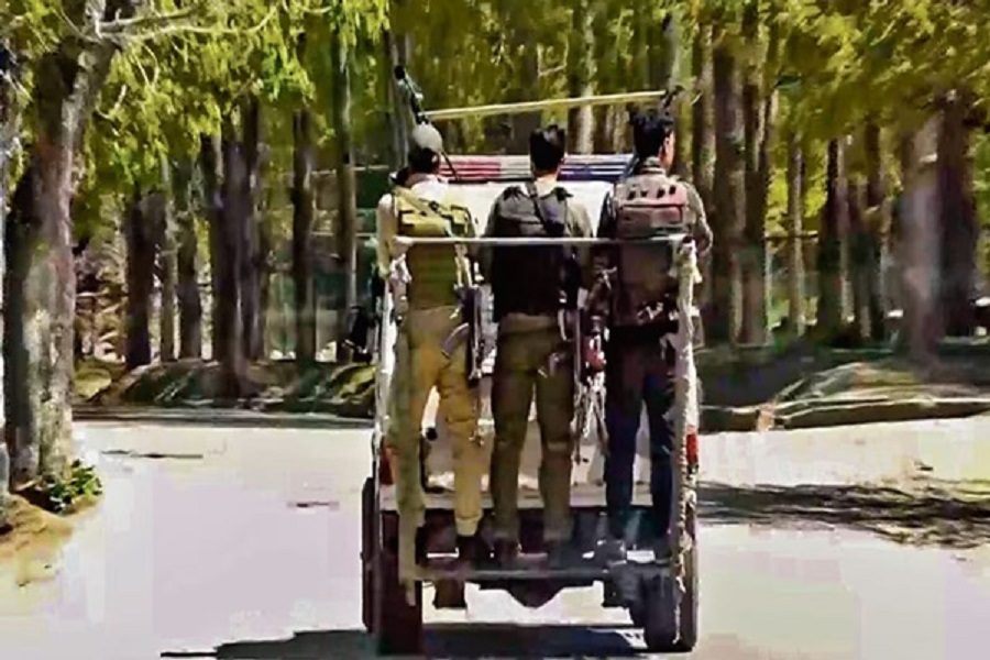 First Despatch News Image