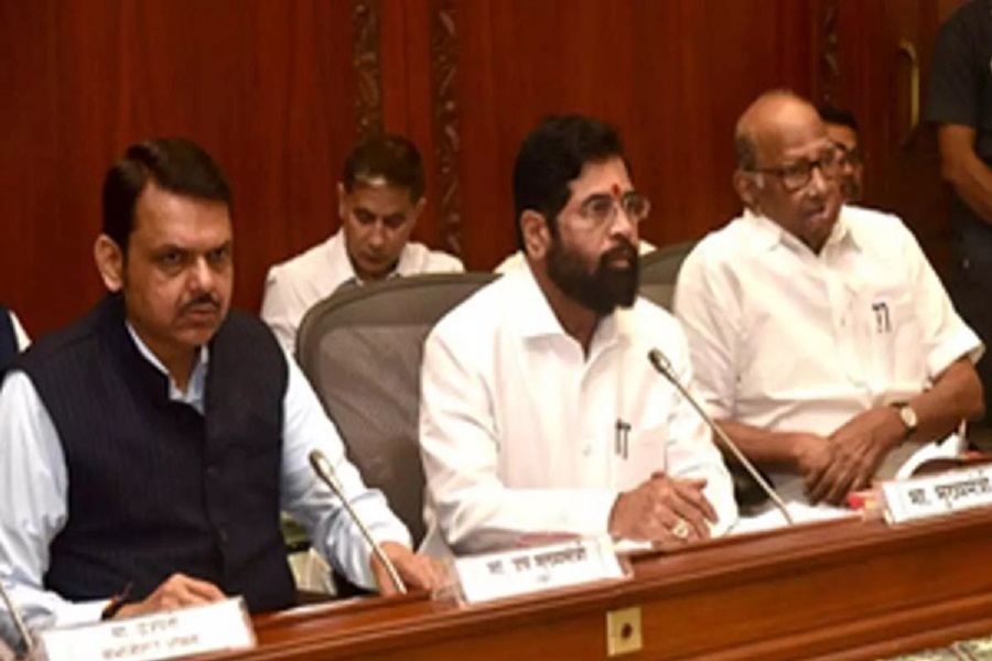 First Despatch News Image