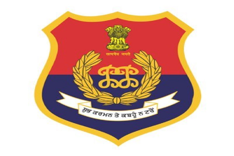 First Despatch News Image