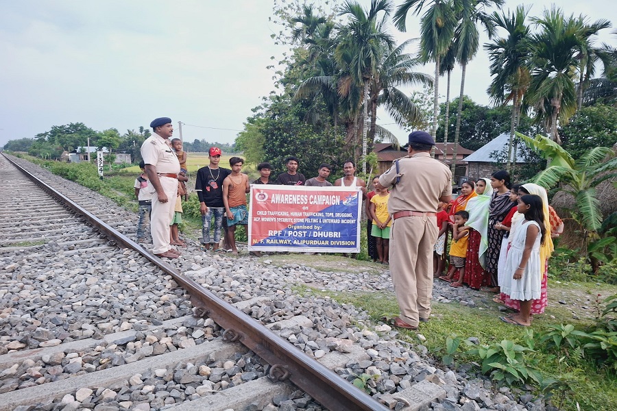 First Despatch News Image