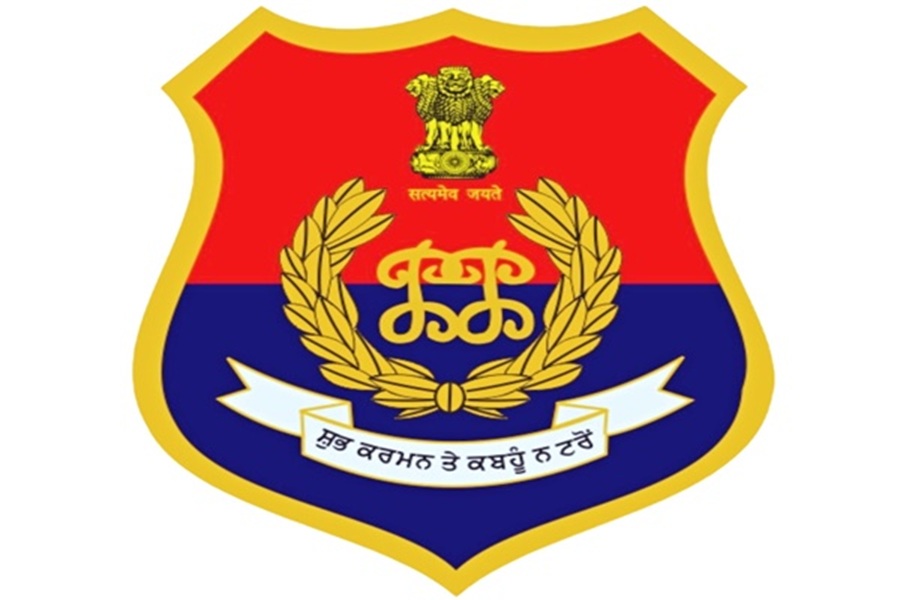First Despatch News Image
