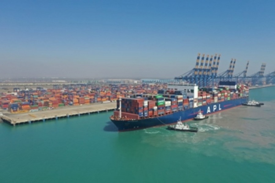 First Despatch News Image
