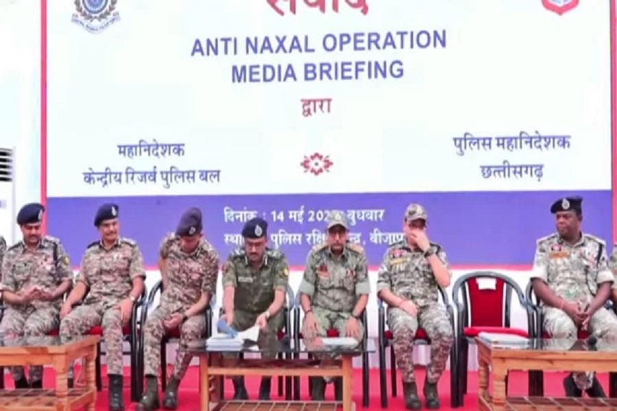 First Despatch News Image