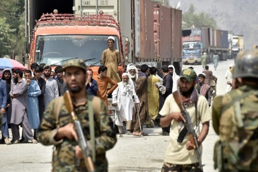 First Despatch News Image