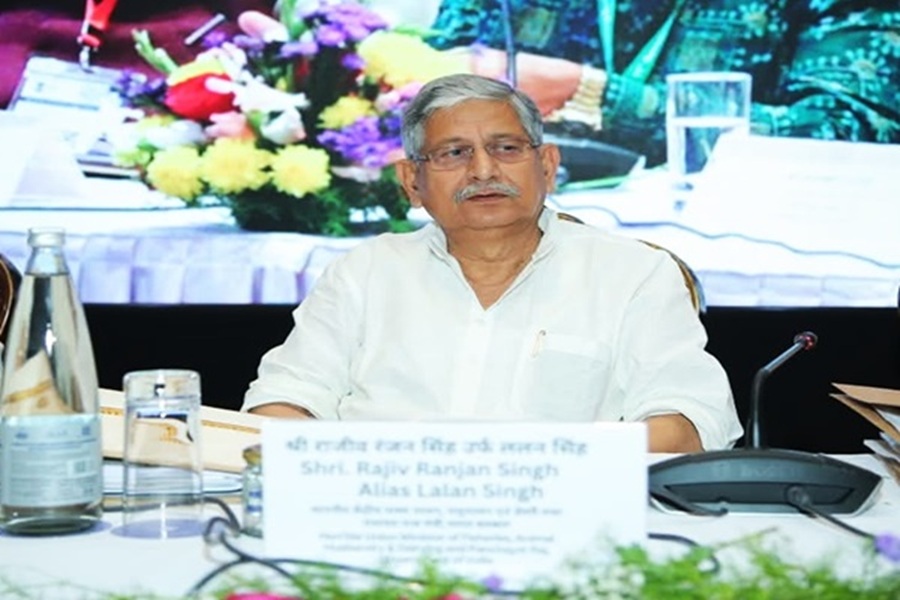 First Despatch News Image