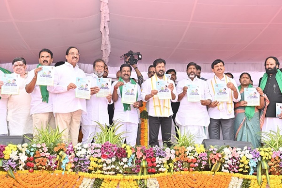 First Despatch News Image