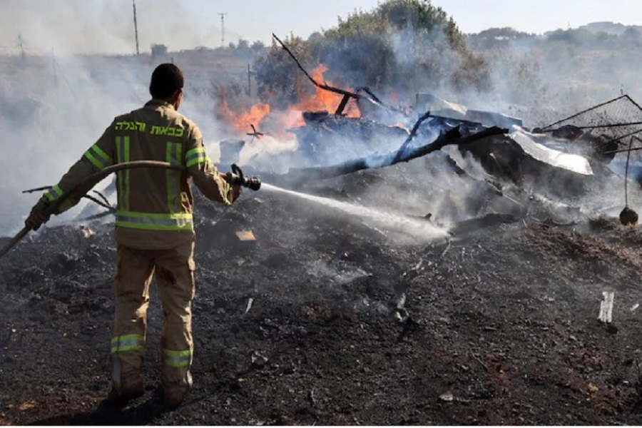 First Despatch News Image