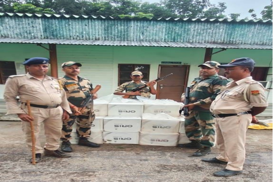 First Despatch News Image