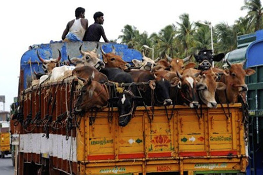 First Despatch News Image
