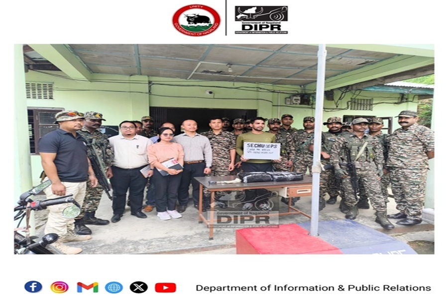 First Despatch News Image
