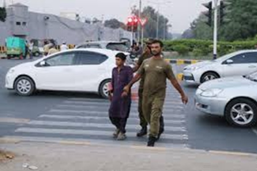 First Despatch News Image