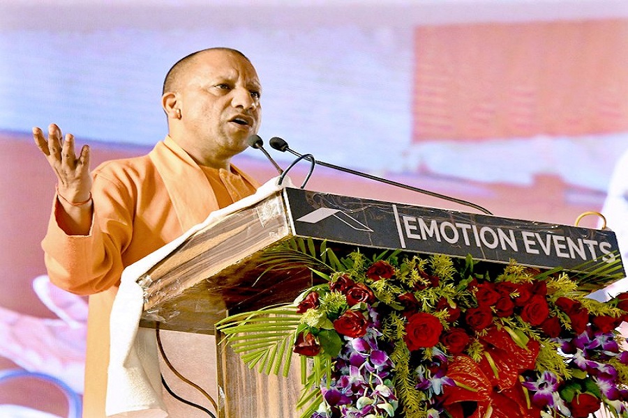 First Despatch News Image