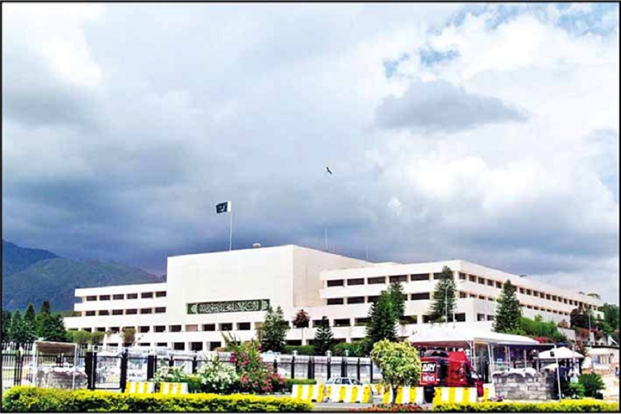 First Despatch News Image