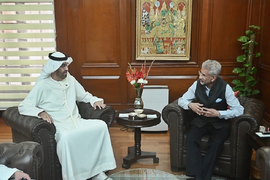 First Despatch News Image