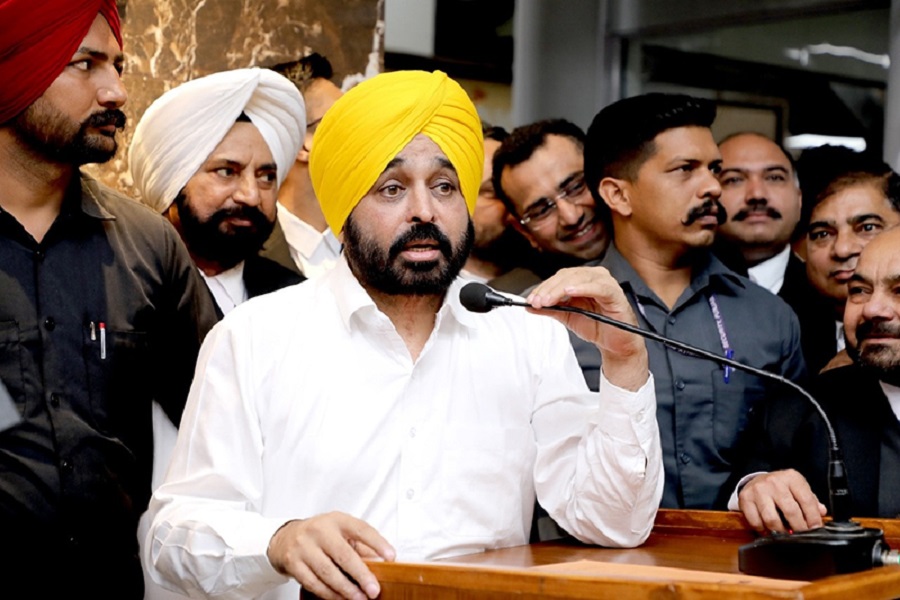 First Despatch News Image