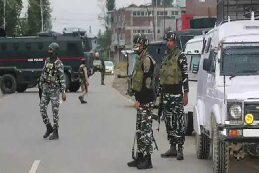 First Despatch News Image