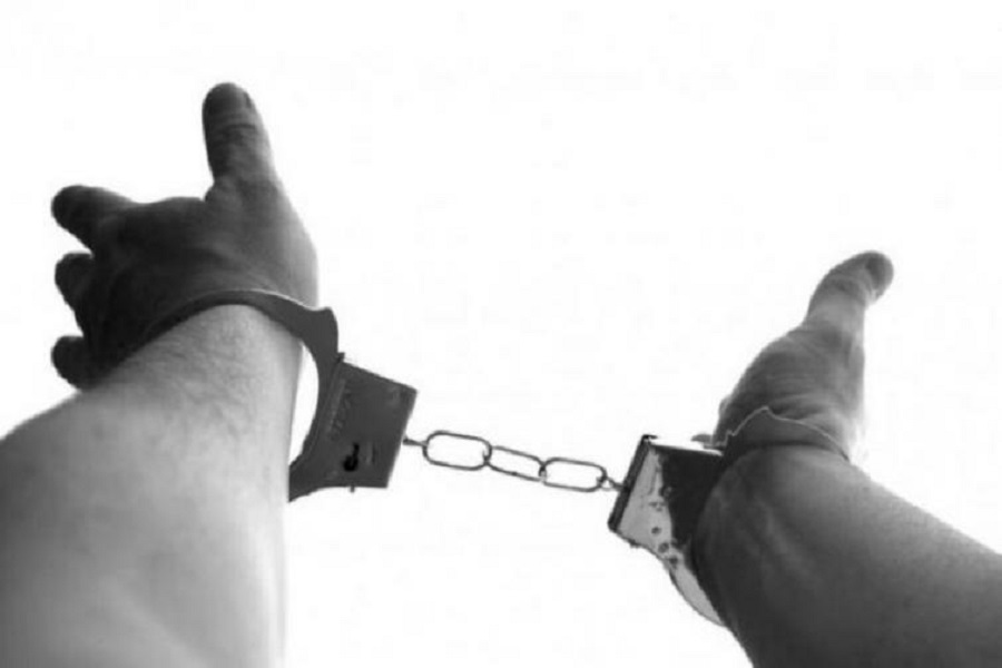 First Despatch News Image