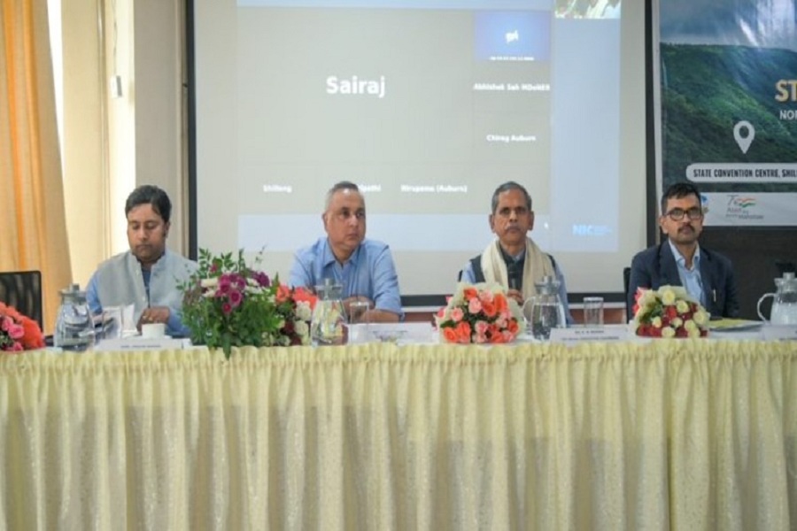First Despatch News Image