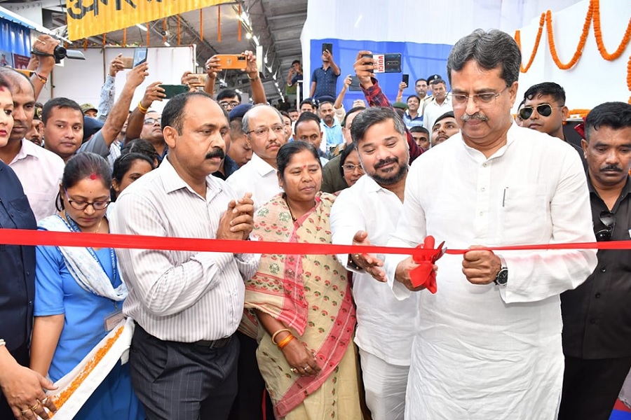 First Despatch News Image