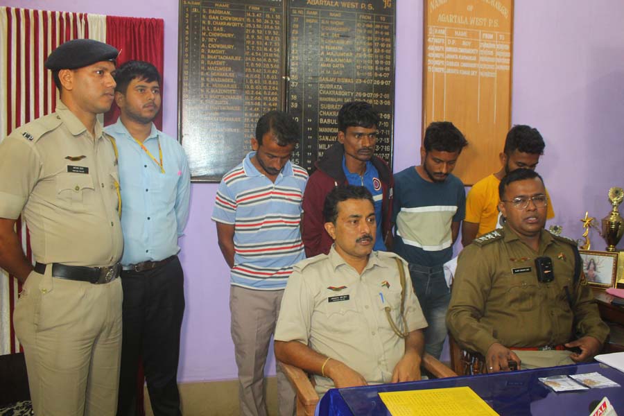 First Despatch News Image
