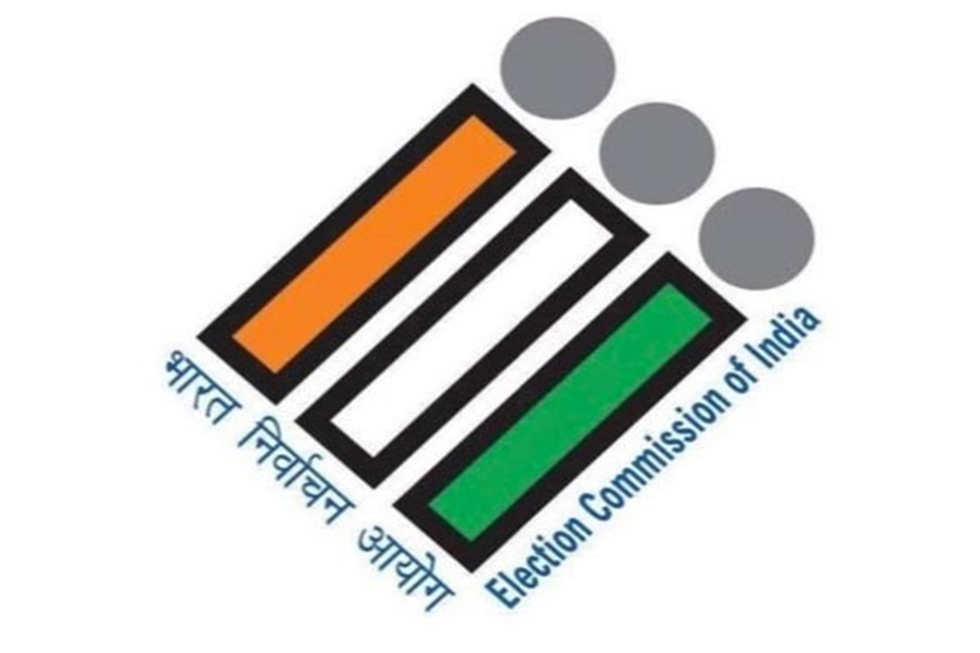 Firstdespatch.com