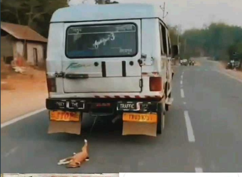 Firstdespatch.com
