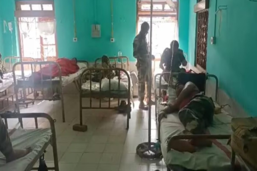 Firstdespatch.com